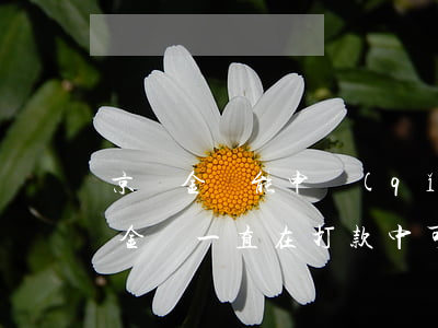 京東金條能申請(qǐng)停息掛賬(京東金條一直在打款中可以取消么)