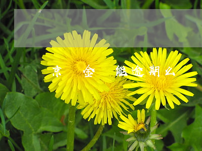 京東金條能逾期么