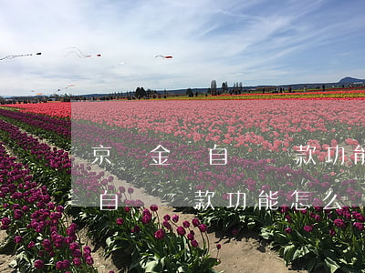 京東金條自動還款功能怎么關閉-京東金條自動還款功能怎么關閉啊
