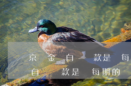 京東金條自動還款是還每期的嗎-京東金條自動還款是還每期的嗎安全嗎