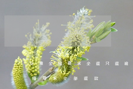 京東金條要求全還只還逾期行不行-京東金條要求全部還款