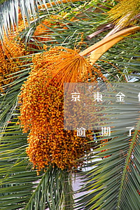 京東金條貸款逾期了會怎么樣 京東金條貸款逾期了會怎么樣