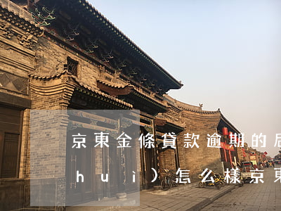 京東金條貸款逾期的后果(京東金條不還會(huì)怎么樣京東金條逾期三個(gè)月)