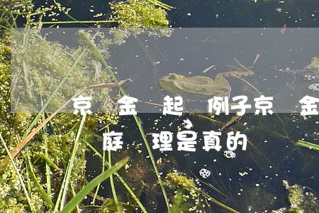 京東金條起訴例子(京東金條違約了他們申請開庭審理是真的嗎)