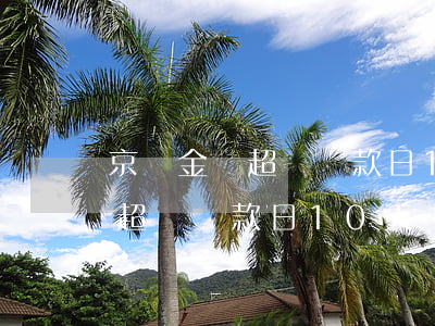 京東金條超過還款日10天還款-京東金條超過還款日10天還款可以嗎