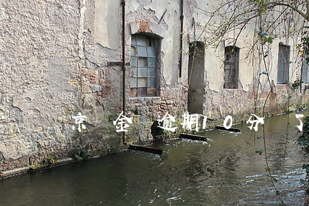 京東金條逾期10分鐘了怎么辦