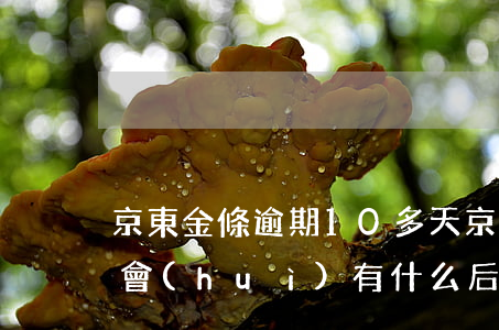 京東金條逾期10多天(京東金條逾期十天了會(huì)有什么后果?)