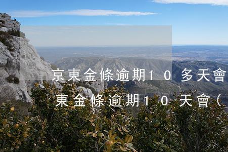 京東金條逾期10多天會(huì)怎樣(京東金條逾期10天會(huì)有影響嗎?京東金條逾期攻略!)