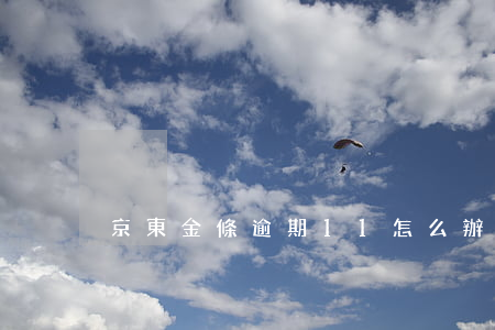 京東金條逾期11怎么辦