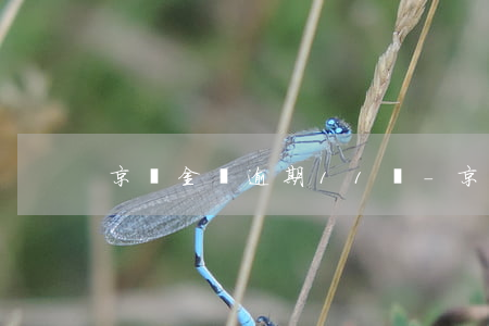 京東金條逾期11萬-京東金條逾期11萬