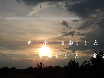 京東金條逾期15天說要法院訴訟-京東金條逾期15天說要法院訴訟是真的嗎