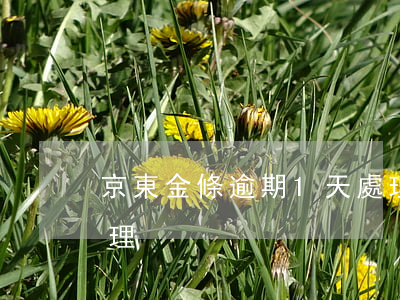京東金條逾期1天處理(京東金條逾期1天處理)