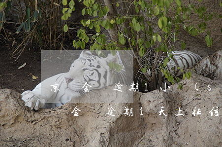 京東金條逾期1小時(shí)上征信嗎 京東金條逾期1天上征信有什么影響