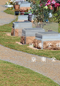 京東金條逾期1小時(shí)還可以貸嗎 京東金條逾期2天后還了影響貸款么