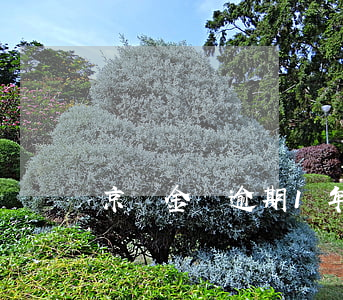 京東金條逾期1年再換(京東金條逾期1年再換)