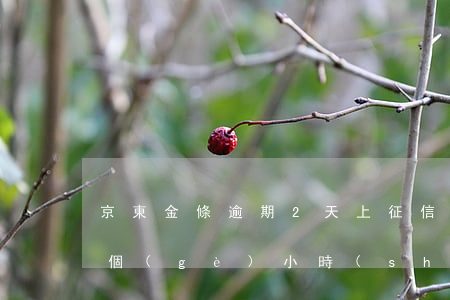 京東金條逾期2天上征信嗎(京東金條逾期幾個(gè)小時(shí)上征信了,怎么辦)