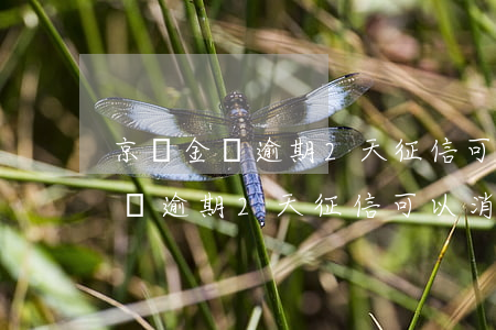 京東金條逾期2天征信可以消除嗎-京東金條逾期2天征信可以消除嗎怎么辦