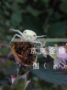 京東金條逾期2萬無力償還(京東金條逾期兩個(gè)月了說讓我承擔(dān)刑事責(zé)任)