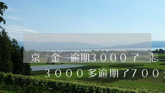 京東金條逾期3000了會怎樣-欠京東金條3000多,逾期了700天會怎樣