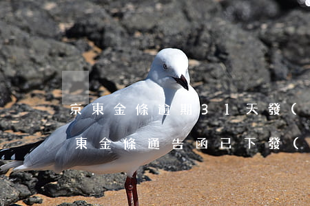 京東金條逾期31天發(fā)通告函-京東金條通告函已下發(fā)