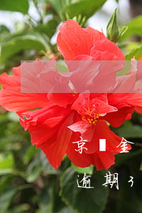 京東金條逾期3個(gè)月四千(京東金條逾期3個(gè)月四千)