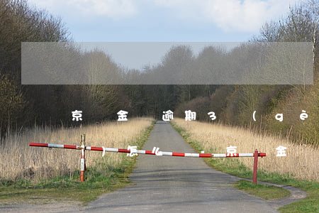 京東金條逾期3個(gè)月征信會(huì)怎么樣-京東金條逾期3個(gè)月征信會(huì)怎么樣嗎