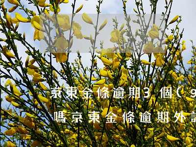 京東金條逾期3個(gè)月,要家訪,真的去嗎（京東金條逾期外訪人員會(huì)來嗎）