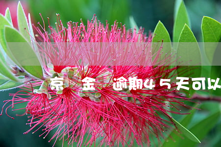 京東金條逾期45天可以打電話嗎