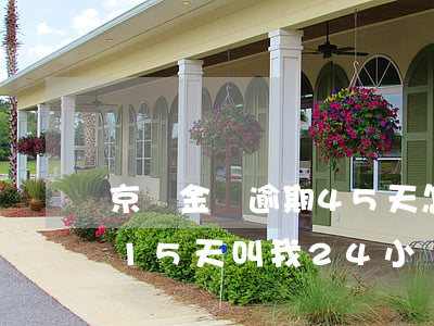 京東金條逾期45天怎么處理(京東金條逾期15天叫我24小時還,要不就起訴我)