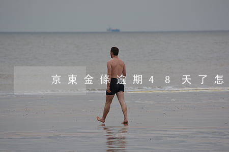 京東金條逾期48天了怎么辦