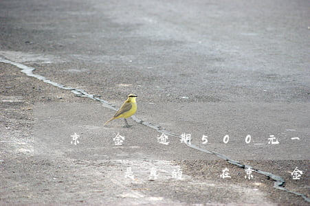 京東金條逾期500元一個月收到了法院判決書是真的嗎（在京東金條逾期500元15天）