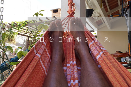 京東金條逾期50天