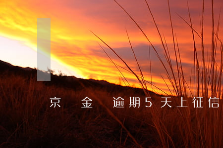 京東金條逾期5天上征信
