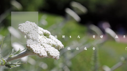 京東金條逾期5天會寄律師函(京東金條逾期發(fā)短信通告說會發(fā)律師函)