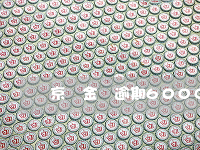 京東金條逾期6000塊