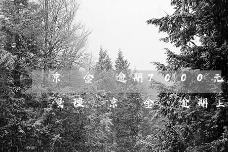 京東金條逾期7000元,法院會(huì)受理嗎（京東金條逾期上法庭）