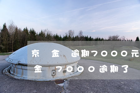 京東金條逾期7000元,法院會受理嗎（京東金條7000逾期了）