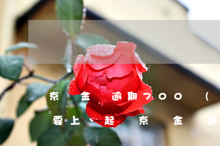京東金條逾期700說(shuō)我不還要上門起訴（京東金條逾期700）