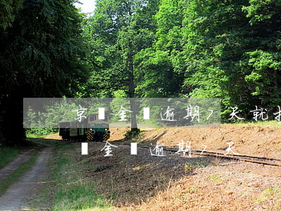 京東金條逾期7天就打電話給我親戚朋友（京東金條逾期7天）