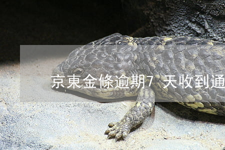 京東金條逾期7天收到通告函