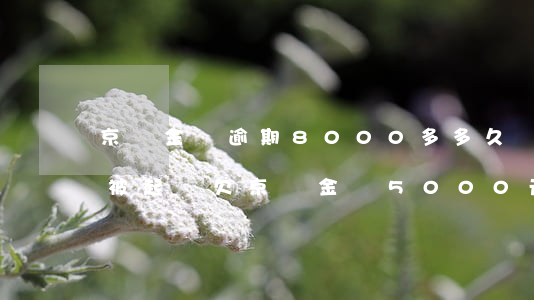 京東金條逾期8000多多久會(huì)被起訴 欠京東金條5000元全部逾期了會(huì)被起訴嗎?