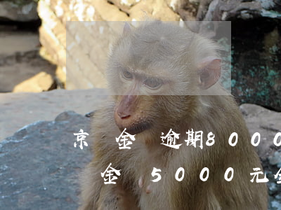 京東金條逾期8000多多久會被起訴 欠京東金條5000元全部逾期了會被起訴嗎?