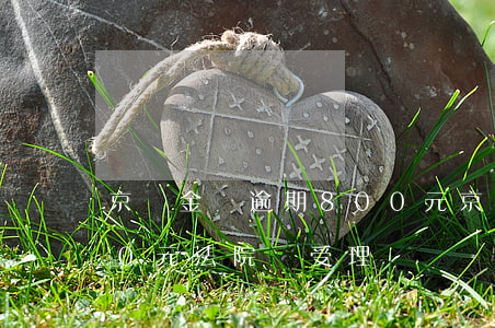 京東金條逾期800元(京東金條逾期7000元,法院會受理嗎)