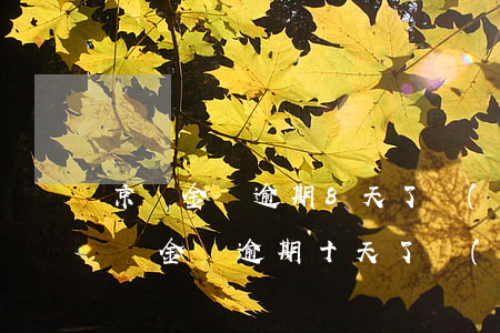 京東金條逾期8天了會(huì)怎么樣(京東金條逾期十天了會(huì)有什么后果?)