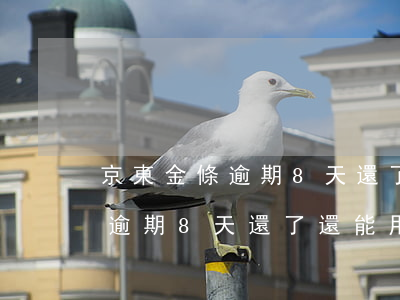 京東金條逾期8天還了還能用嗎-京東金條逾期8天還了還能用嗎怎么辦