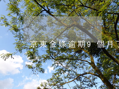 京東金條逾期9個月了會被上訴嗎