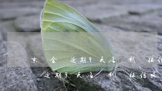 京東金條逾期9天以還影響征信嘛-京東金條逾期9天以還影響征信嘛