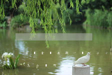 京東金條逾期一個(gè)月會(huì)怎么樣啊-