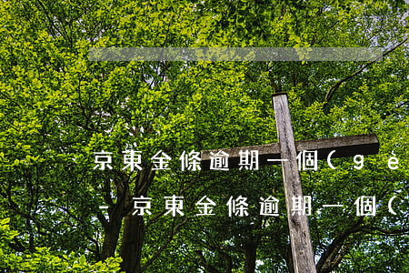 京東金條逾期一個(gè)月還不起怎么辦-京東金條逾期一個(gè)月還不起怎么辦呢