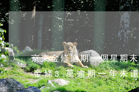 京東金條逾期一個星期未還款會怎么樣（京東金條3萬逾期一年未還款）
